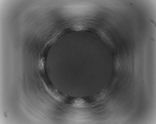 X0000101980214200807251241