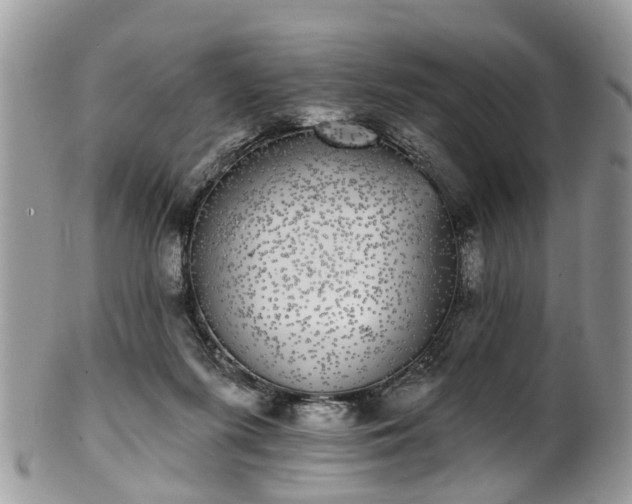 X0000101980215200807251241