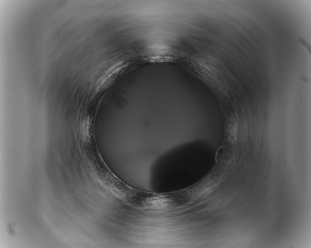 X0000101980219200807251241