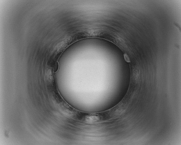 X0000101980220200807251241