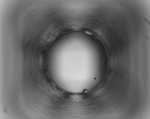 X0000101980221200807251241