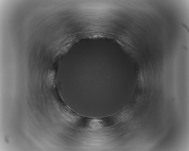 X0000101980222200807251241