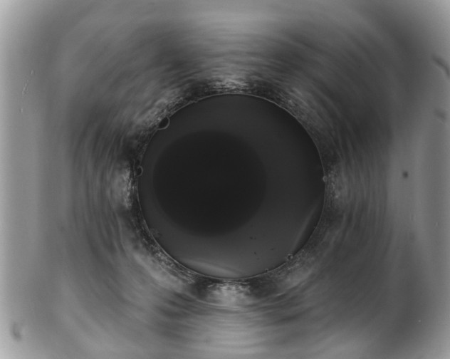 X0000101980223200807251241