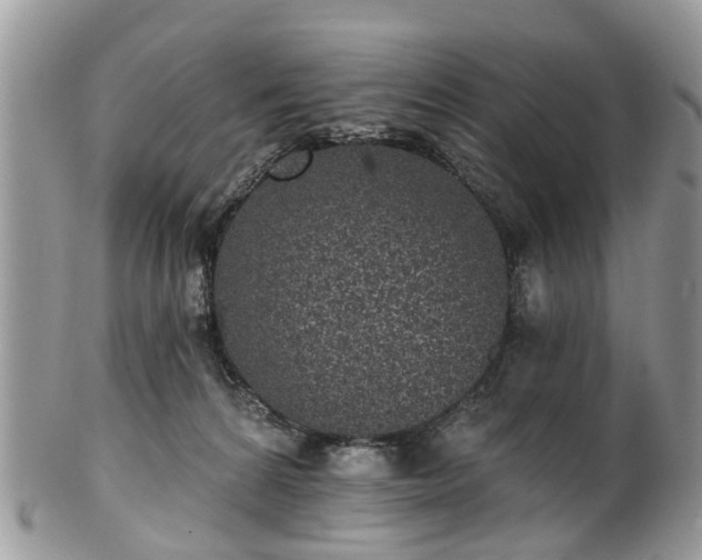 X0000101980224200807251241