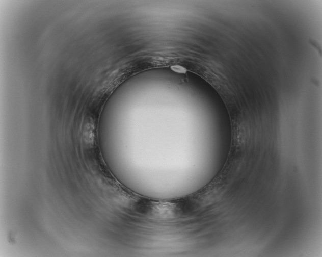 X0000101980226200807251241