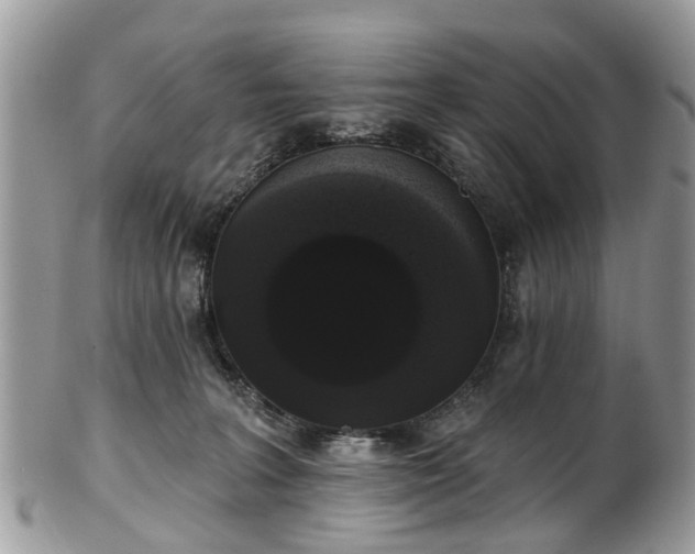 X0000101980227200807251241