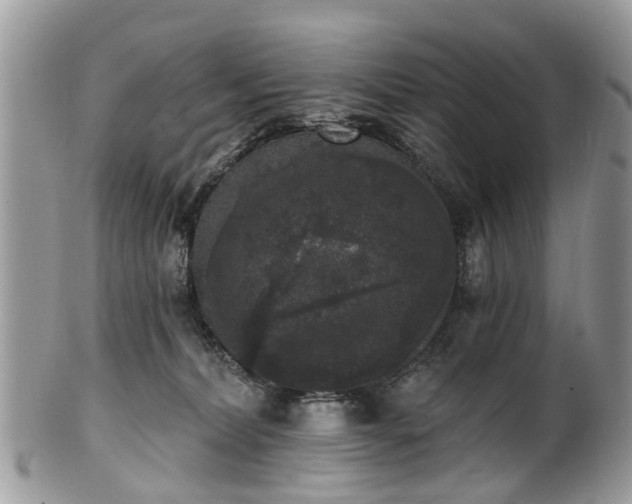 X0000101980228200807251241