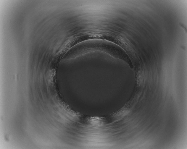 X0000101980229200807251241