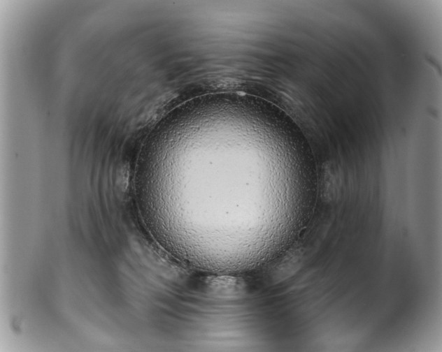 X0000101980230200807251240