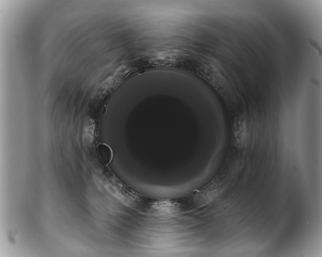 X0000101980231200807251240