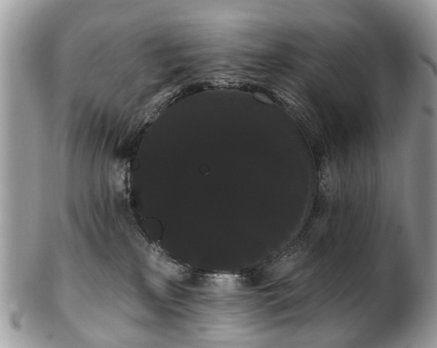 X0000101980233200807251240