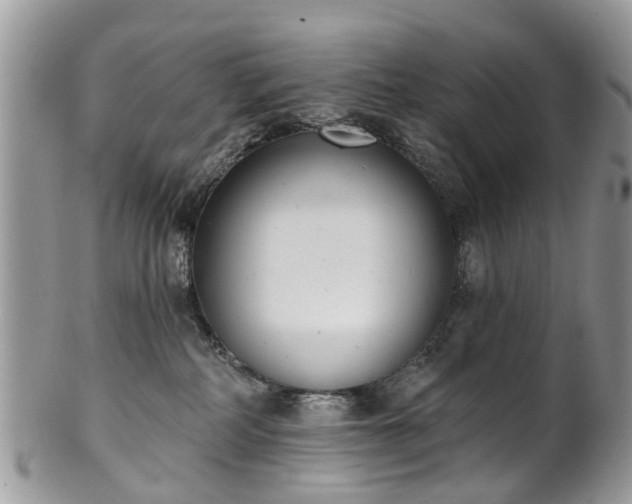 X0000101980234200807251240