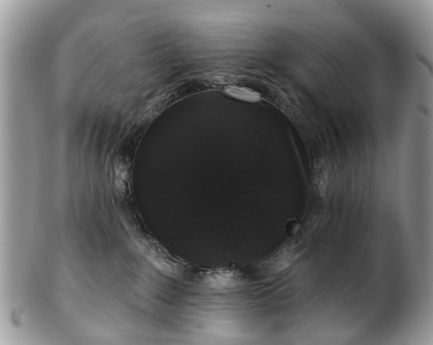 X0000101980235200807251240