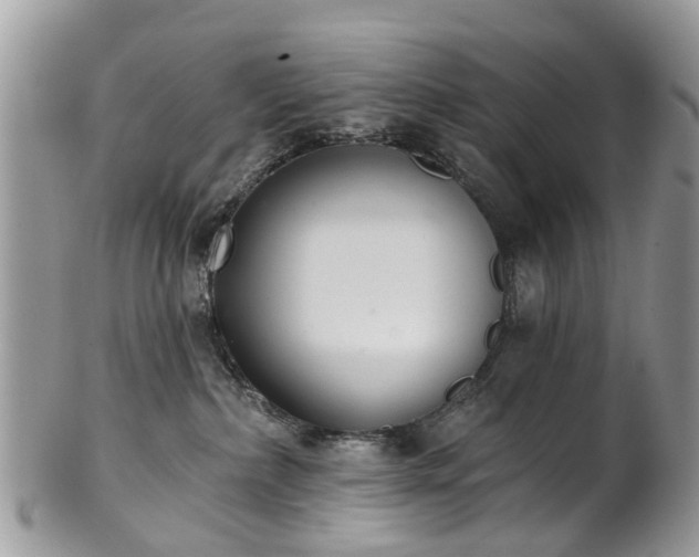 X0000101980236200807251240