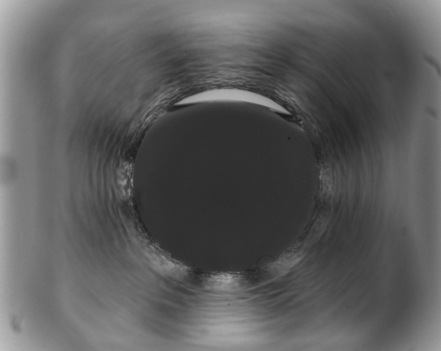 X0000101980237200807251240