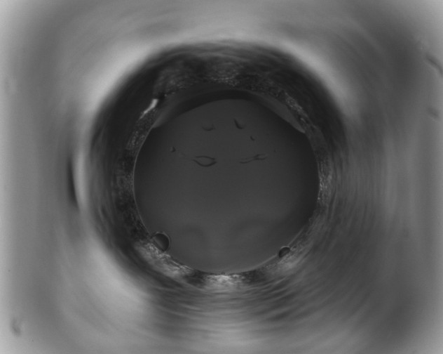 X0000101980239200807251240