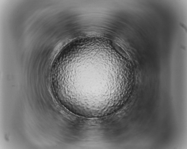 X0000101980241200807251240