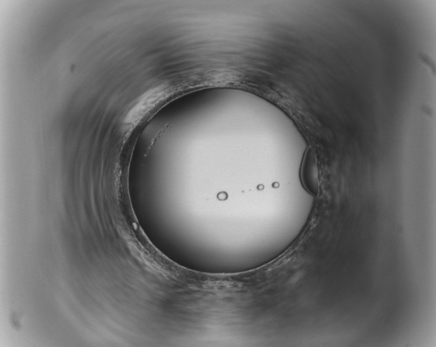 X0000101980242200807251240