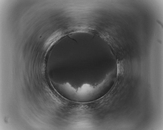 X0000101980243200807251240