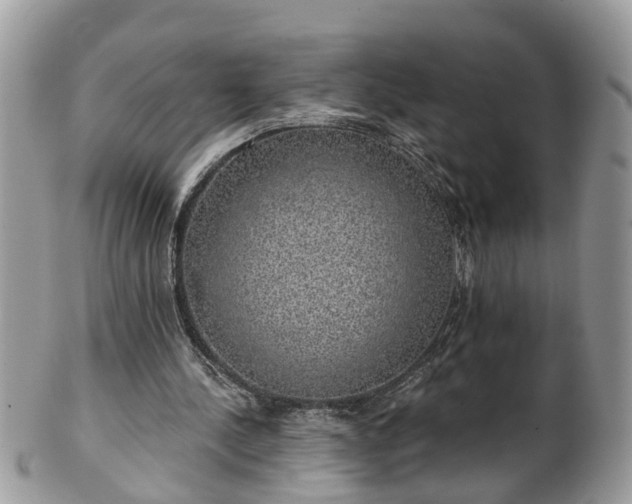 X0000101980244200807251240