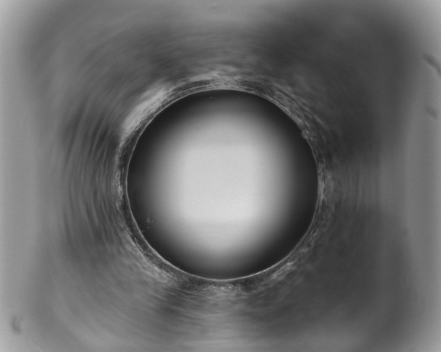 X0000101980245200807251240