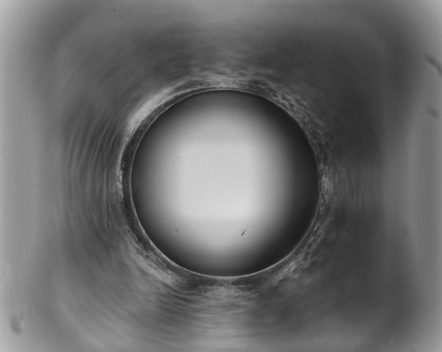 X0000101980246200807251240