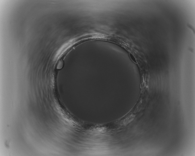 X0000101980247200807251240