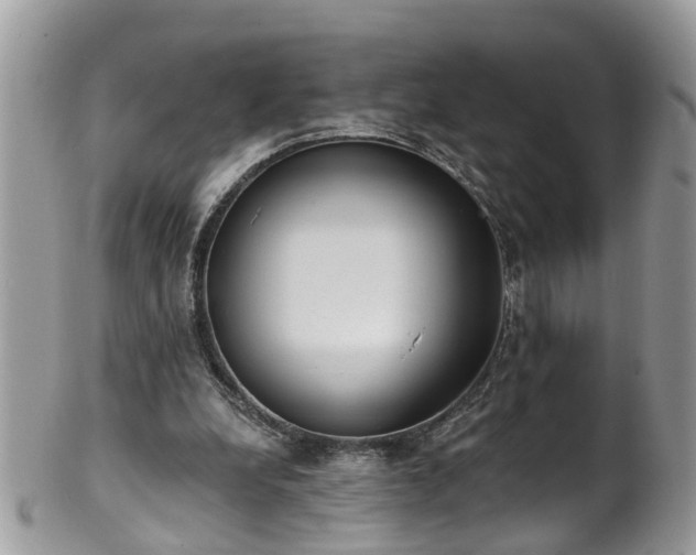 X0000101980248200807251240