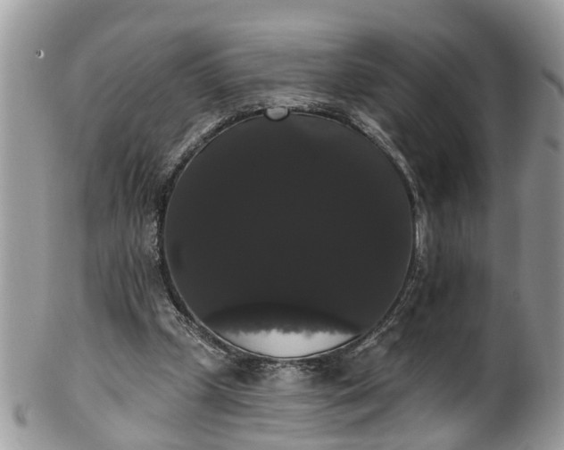 X0000101980249200807251240