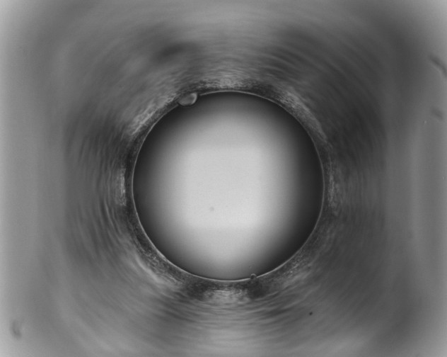 X0000101980251200807251240