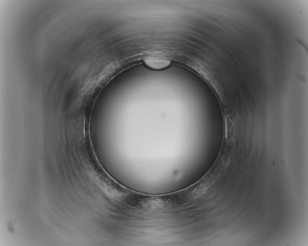 X0000101980253200807251240