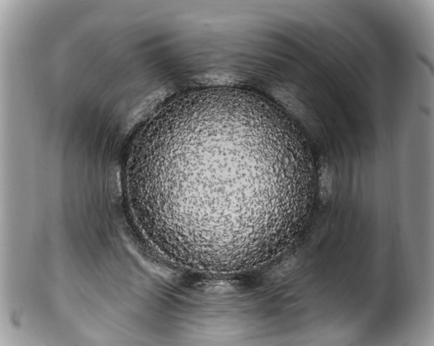 X0000101980254200807251240