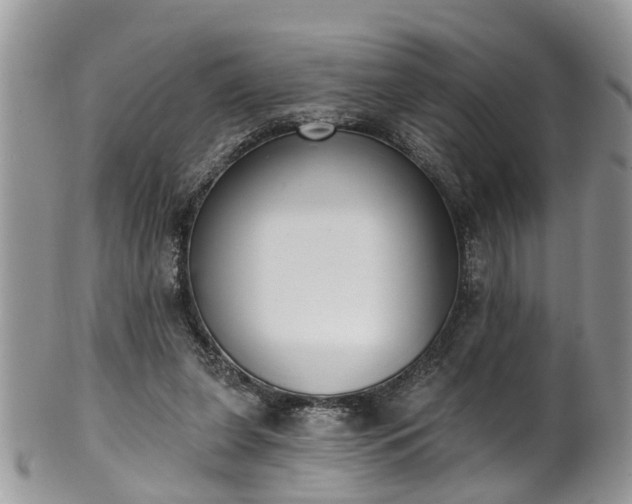 X0000101980255200807251240