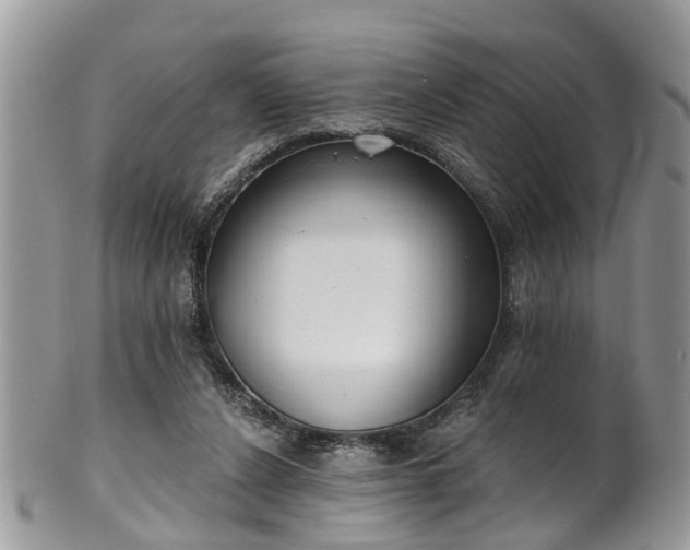 X0000101980256200807251240