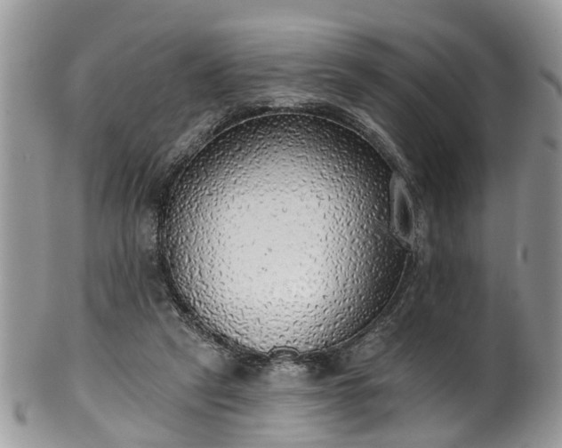 X0000101980257200807251240