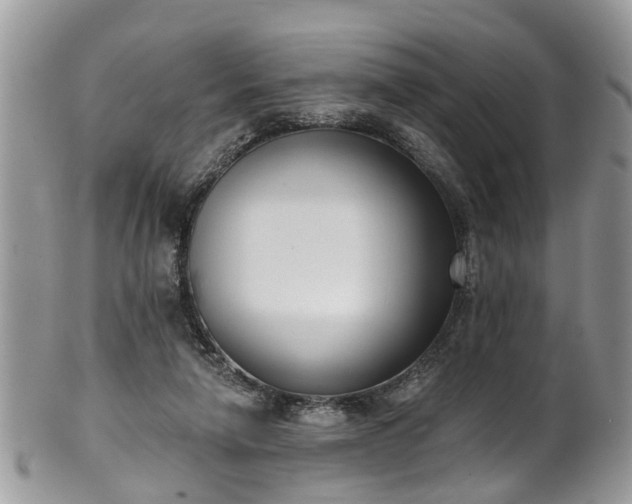 X0000101980258200807251240