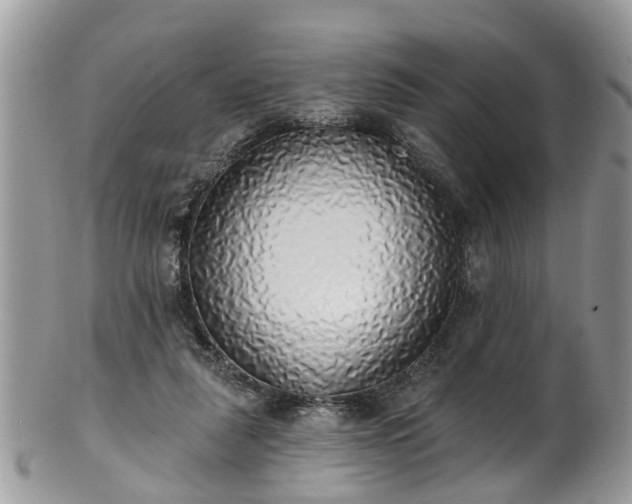 X0000101980259200807251240