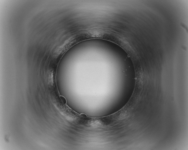 X0000101980262200807251240