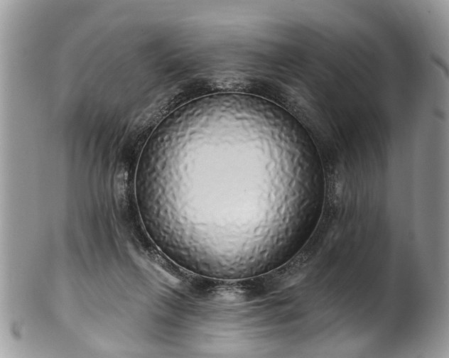 X0000101980263200807251240