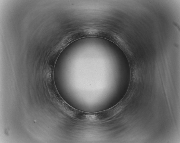 X0000101980265200807251240