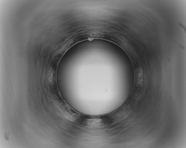 X0000101980266200807251240