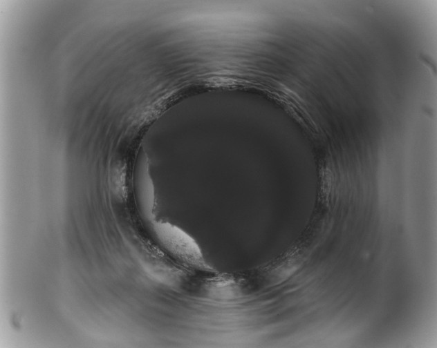 X0000101980267200807251240