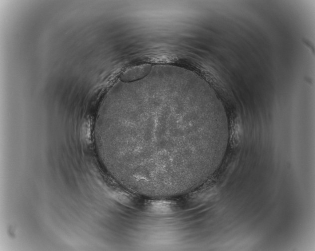 X0000101980268200807251240