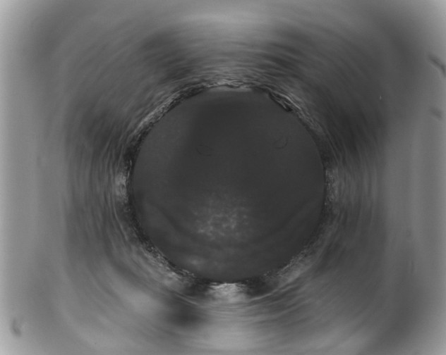 X0000101980269200807251240