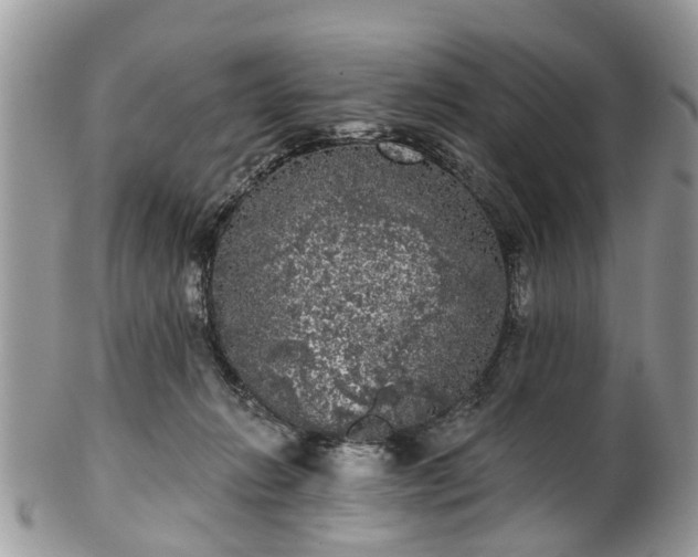 X0000101980270200807251240