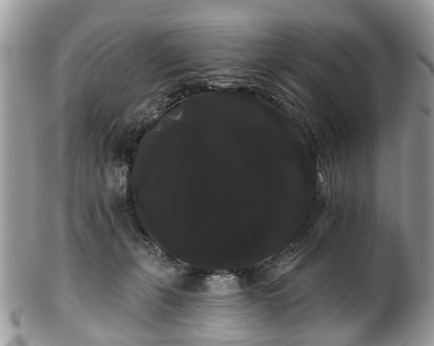 X0000101980271200807251240