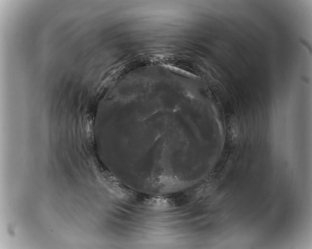 X0000101980276200807251240