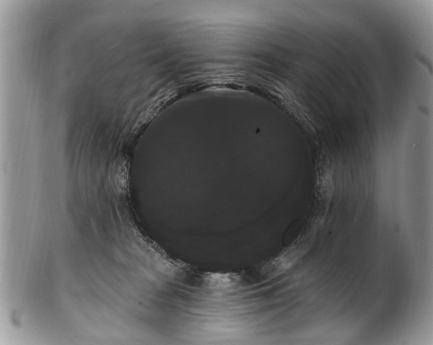 X0000101980277200807251240