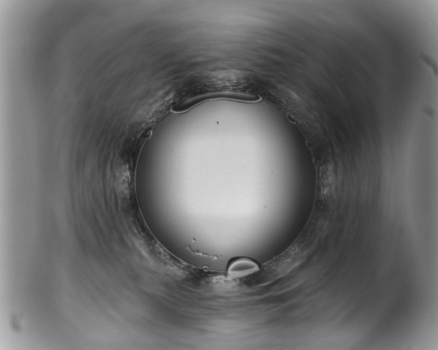 X0000101980279200807251240