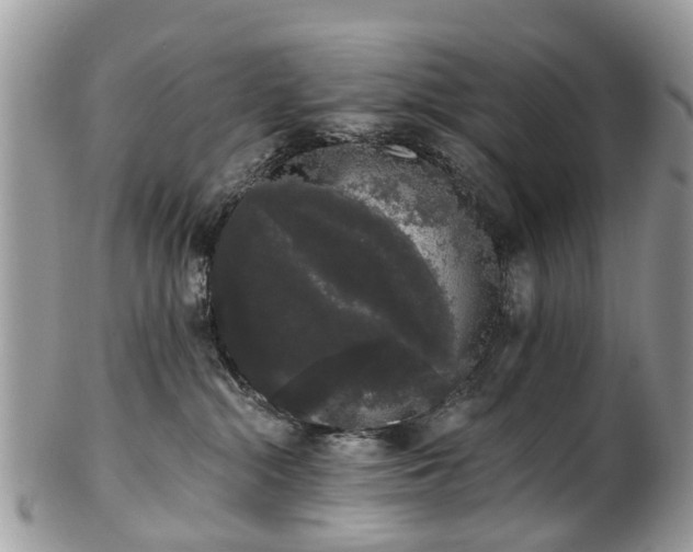 X0000101980284200807251240